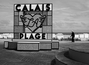 Vétérinaire de Garde Calais